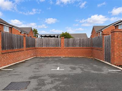 Picture 15